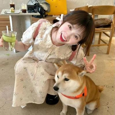 明月守护者